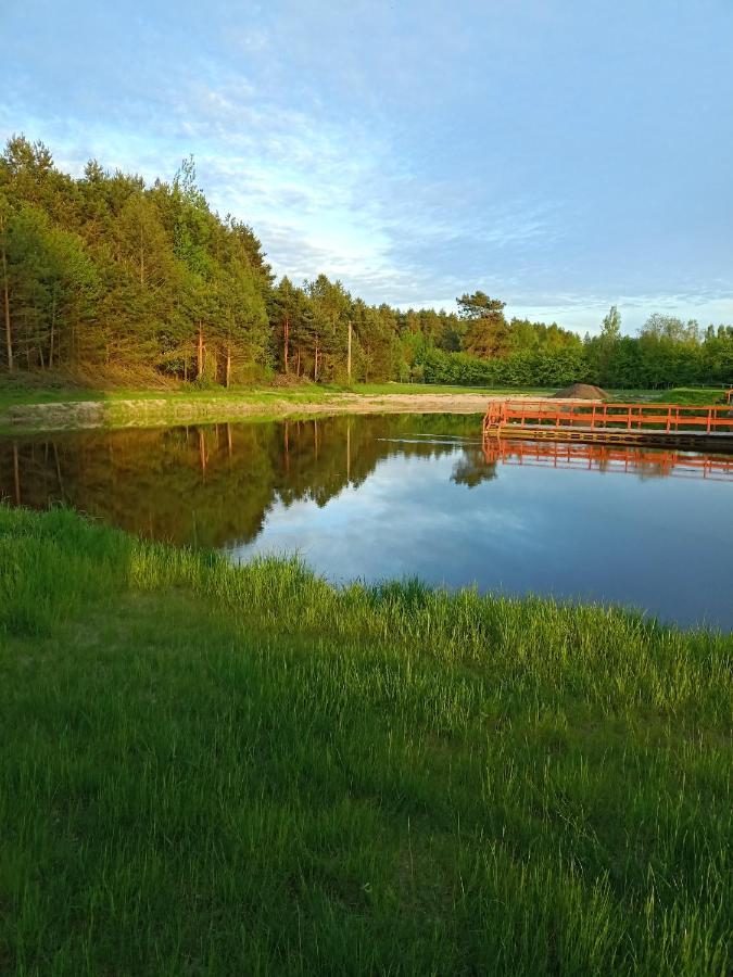 Agroturystyka Podlasie Dobrzyniewo Duze 外观 照片
